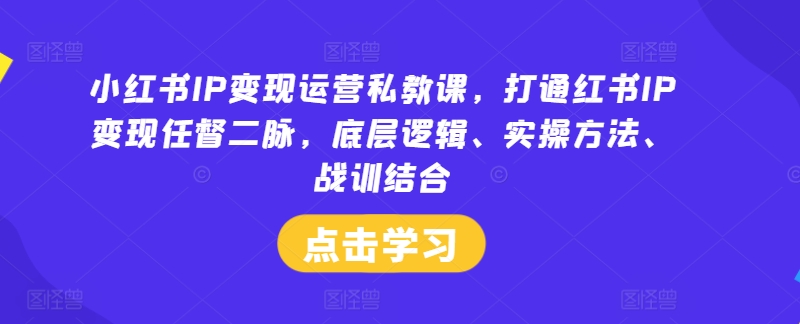 小红书IP变现运营私教课，打通红书IP变现任督二脉，底层逻辑、实操方法、战训结合 - 搞薯条网-搞薯条网