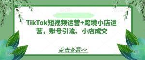 TikTok短视频运营+跨境小店运营，账号引流、小店成交-搞薯条网
