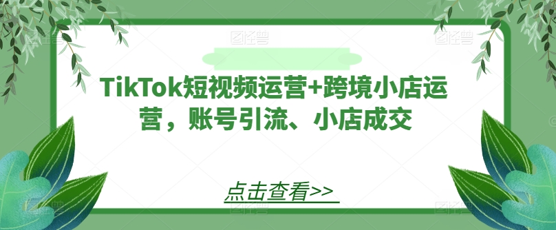 TikTok短视频运营+跨境小店运营，账号引流、小店成交 - 搞薯条网-搞薯条网