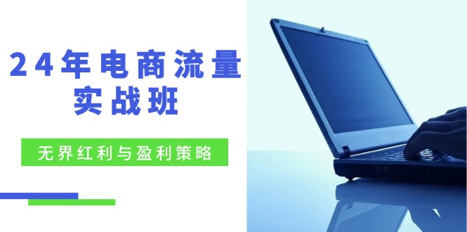 24年电商流量实战班：无界 红利与盈利策略，终极提升/关键词优化/精准…-森森项目库