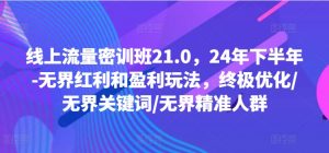 线上流量密训班21.0,24年下半年-无界红利和盈利玩法,终极优化/无界关键词/无界精准人群-搞薯条网