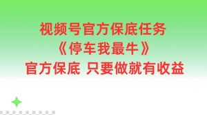 视频号官方保底任务,停车我最牛,官方保底只要做就有收益【揭秘】-搞薯条网
