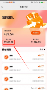 快递回收自助玩法,有人用这个方法,一个月赚了31000+-搞薯条网