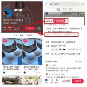 小红书无货源冷门赛道,这个品卖爆了,一个千粉博主2个月变现35w-搞薯条网-搞薯条网