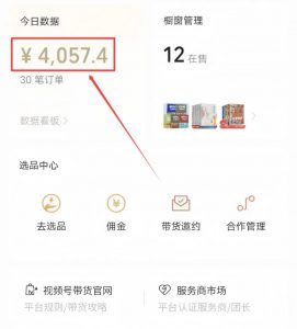 微信视频号带货项目,用这个方法,小白也能日入800+(附详细教程)-搞薯条网-搞薯条网