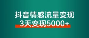 抖音情感流量变现,一个赛道模板3天变现5000+-搞薯条网