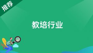 教培行业-搞薯条网
