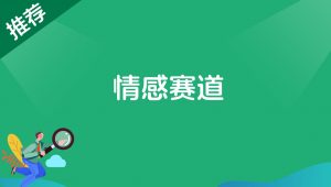 情感赛道-搞薯条网