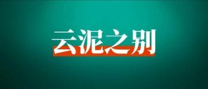 中老年知识付费项目复盘:半年投入近8万,只转化了7个用户-搞薯条网