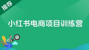 【2024.10.8更新】小红书电商项目训练营:从选品到出单 全套项目课程+实操经历复盘-搞薯条网