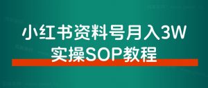 新人小白,如何10分钟制作出一条破百粉视频?-搞薯条网