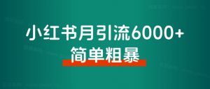 小红书月引流6000+,简单粗暴!从博主玩法迭代矩阵玩法2.0版,经验分享-搞薯条网