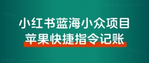 苹果快捷指令记账,也能玩出新花样,小红书蓝海小众项目拆解!-搞薯条网