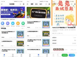 兔兔答题源码一款前后端开源的移动端答题系统-搞薯条网