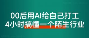00后用AI给自己打工,仅4小时搞懂一个陌生行业如何变现!-搞薯条网