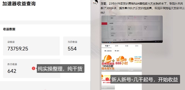 游戏加速器项目4.0_最新打法思路(爱玩游戏也能边玩边被动收益)-搞薯条网