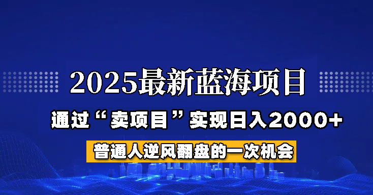 2025年蓝海项目，如何通过“网创项目”日入2000+ - 搞薯条网-搞薯条网