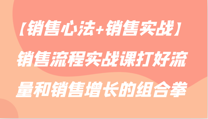 【销售心法+销售实战】销售流程实战课打好流量和销售增长的组合拳 - 搞薯条网-搞薯条网