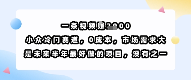 一条视频挣1k，小众冷门赛道，0成本，市场需求大，是未来半年最好做的项目，没有之一 - 搞薯条网-搞薯条网