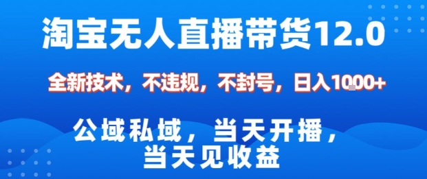 淘宝无人直播12.0，公域私域技术，不封号，不违规布局双十一流量风口，日入1k(独家技术)【揭秘】-搞薯条网