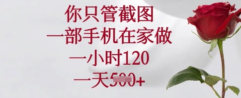 你只管截图，一部手机在家做，一小时120.一天5张【揭秘】 - 搞薯条网-搞薯条网