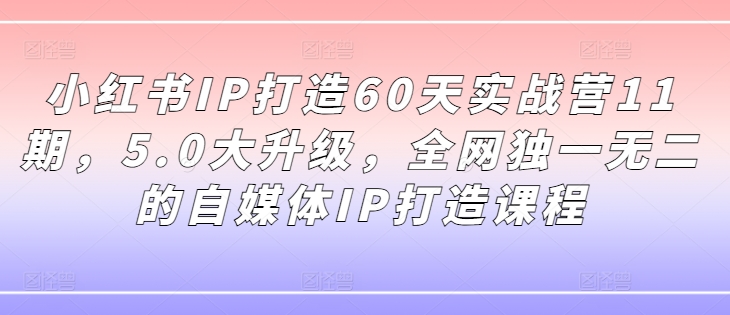 小红书IP打造60天实战营11期，5.0大升级，全网独一无二的自媒体IP打造课程 - 搞薯条网-搞薯条网