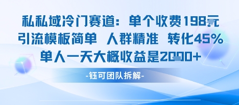 私域冷门赛道单个收费198米引流模板简单人群精准 45%的转化率单人一天大概收益多张 - 搞薯条网-搞薯条网