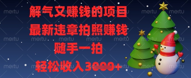 解气又挣钱的项目，最新违章拍照挣钱，随手一拍，轻松收入数张【揭秘】 - 搞薯条网-搞薯条网