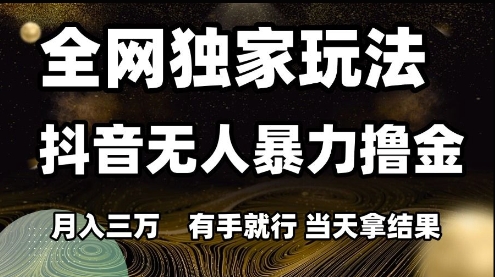 全网独家玩法抖音无人暴力撸金，月入3W，有手就行，当天拿结果【揭秘】 - 搞薯条网-搞薯条网