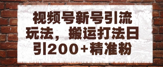 视频号新号引流玩法，搬运打法日引200+精准粉，可矩阵放大【揭秘】 - 搞薯条网-搞薯条网