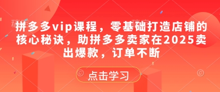 拼多多vip课程，零基础打造店铺的核心秘诀，助拼多多卖家在2025卖出爆款，订单不断 - 搞薯条网-搞薯条网