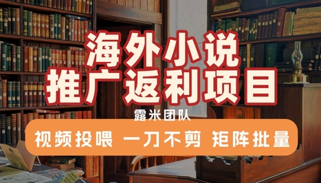 海外小说推广返利项目，视频投喂， 一刀不剪，矩阵批量 - 搞薯条网-搞薯条网