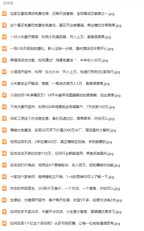 图片[2]-(9607期)真实有效391套商业模式，年入几十到几百万案例解析(电子书+视频+图文)-搞薯条网