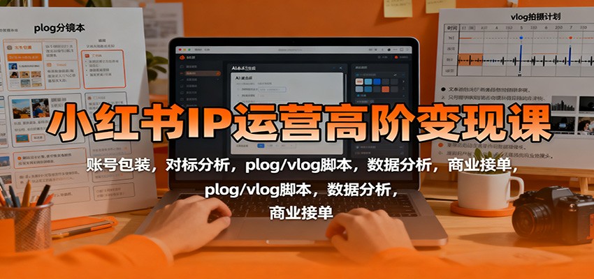 小红书IP运营高阶变现课:账号包装,对标分析,plog/vlog脚本,数据分析,商业接单-搞薯条网