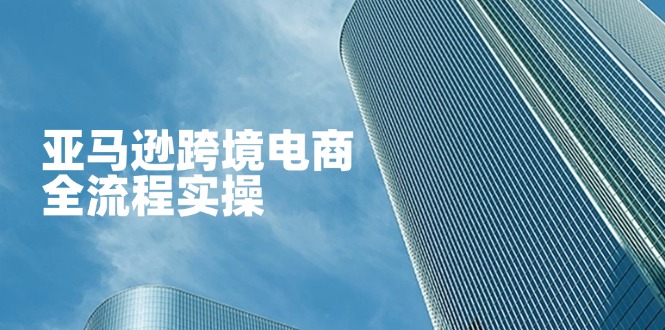 亚马逊跨境电商全流程实操，教你从零开始，掌握店铺运营与广告技巧 - 搞薯条网-搞薯条网