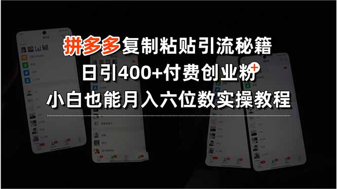 拼多多复制粘贴引流秘籍，日引400+付费创业粉，小白也能月入六位数实操… - 搞薯条网-搞薯条网