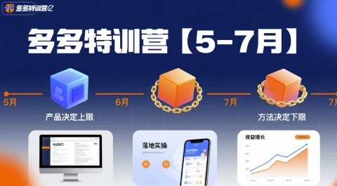 多多特训营【5-7月】产品决定上限，方法决定下限，各种玩法技巧落地实操 - 搞薯条网-搞薯条网