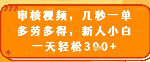 审核视频，几秒一单，多劳多得，新人小白一天轻松3张【揭秘】 - 搞薯条网-搞薯条网