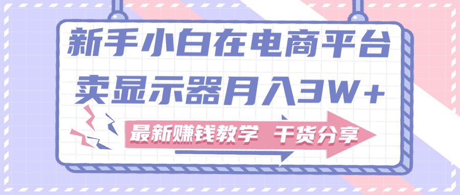 新手小白如何做到在电商平台卖显示器月入3W+，最新赚钱教学干货分享 - 搞薯条网-搞薯条网