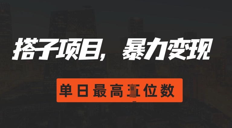 2024搭子玩法，0门槛，暴力变现，单日最高破四位数【揭秘】 - 搞薯条网-搞薯条网