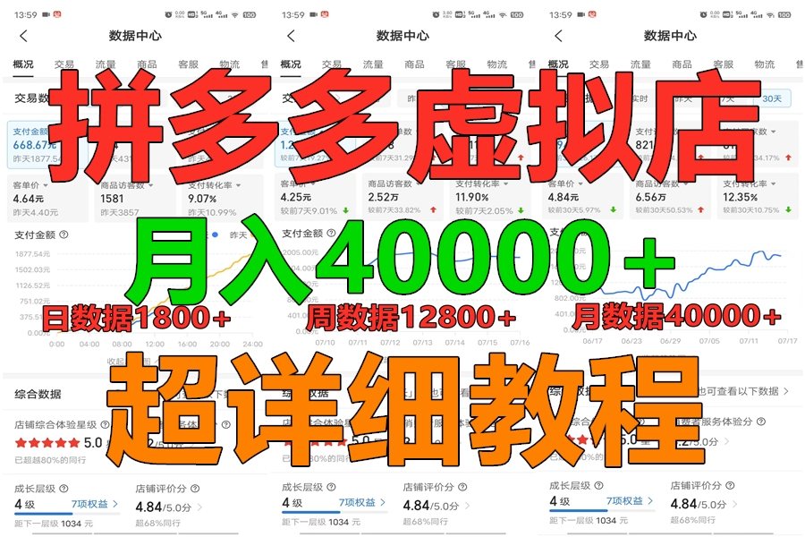 拼多多虚拟电商训练营月入40000+，全网最详细，你做你也行，暴利稳定长久-森森项目库