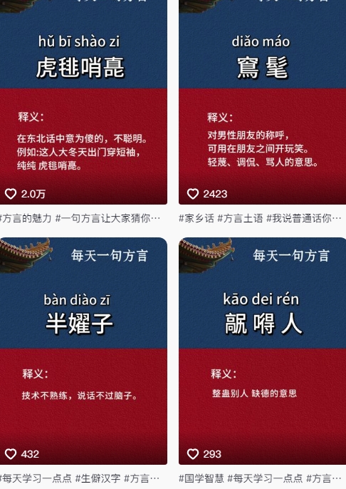 抖音最新涨粉玩法，图文方言暴力涨粉实操，126作品涨粉11W - 搞薯条网-搞薯条网