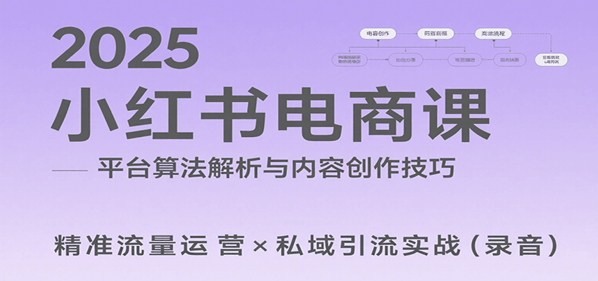 2025小红书电商课：解析算法，创作高转化内容，助力卖家获取流量实现变现(录音) - 搞薯条网-搞薯条网