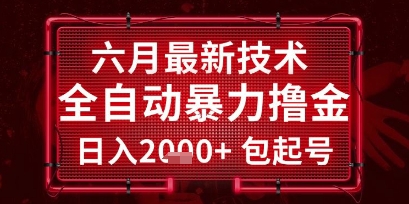 六月最新技术全自动暴力撸金，稳定日入2k+包起号，长期稳定【揭秘】 - 搞薯条网-搞薯条网