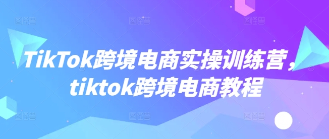 TikTok跨境电商实操训练营，tiktok跨境电商教程 - 搞薯条网-搞薯条网