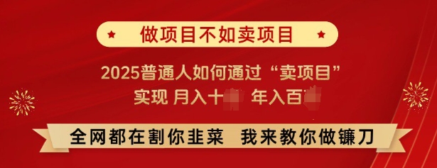 必看，做项目不如卖项目，2025普通人如何通过“卖项目”实现月入十个，年入百个 - 搞薯条网-搞薯条网