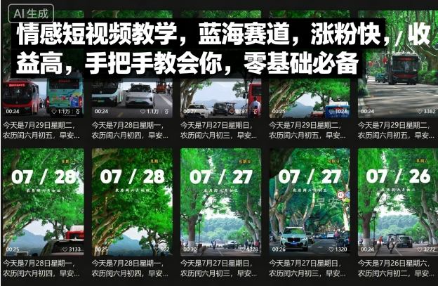 情感短视频教学，蓝海赛道，涨粉快，收益高，手把手教会你，零基础必备 - 搞薯条网-搞薯条网