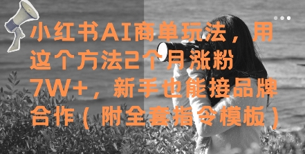 小红书AI商单玩法，用这个方法2个月涨粉7W+，新手也能接品牌合作(附全套指令模板) - 搞薯条网-搞薯条网
