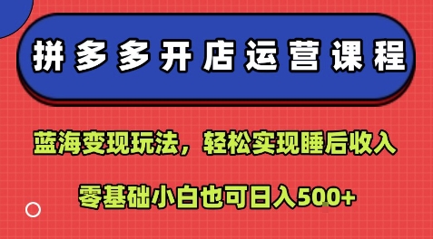 拼多多开店运营课程：蓝海变现玩法，轻松实现睡后收入，零基础小白也可日入5张 - 搞薯条网-搞薯条网