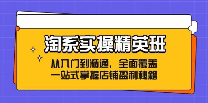 淘系实操精英班：从入门到精通，全面覆盖，一站式掌握店铺盈利秘籍 - 搞薯条网-搞薯条网
